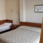Rubicone Hotel Savignano sul Rubicone