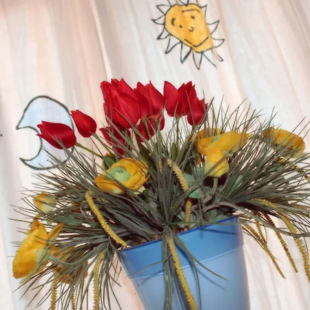 Rubicone Savignano sul Rubicone