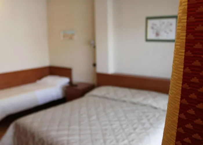 Rubicone Hotel Savignano sul Rubicone